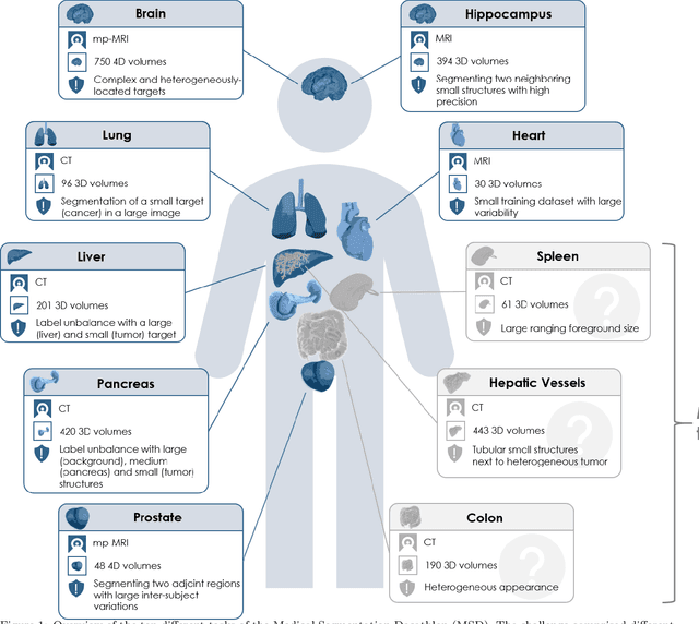 Figure 1 for The Medical Segmentation Decathlon