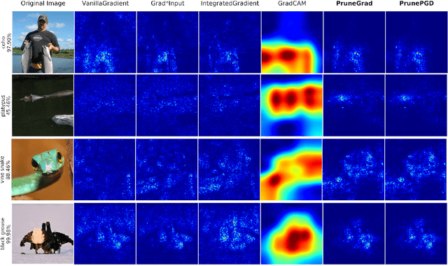 Figure 3 for Explaining Neural Networks via Perturbing Important Learned Features