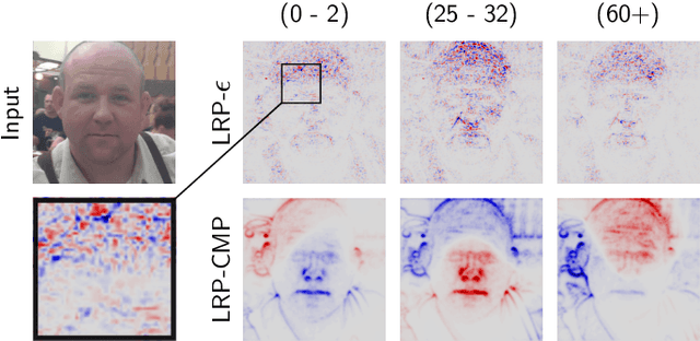 Figure 4 for Toward Interpretable Machine Learning: Transparent Deep Neural Networks and Beyond