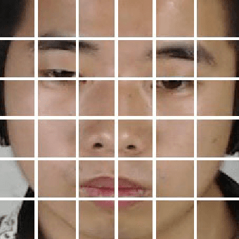 Figure 3 for Spotting Macro- and Micro-expression Intervals in Long Video Sequences