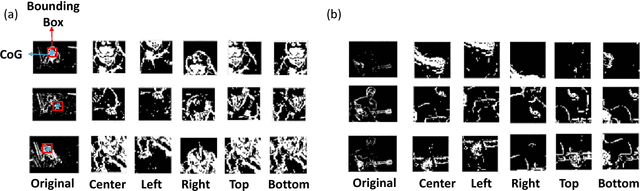 Figure 4 for Learning to Recognize Actions from Limited Training Examples Using a Recurrent Spiking Neural Model