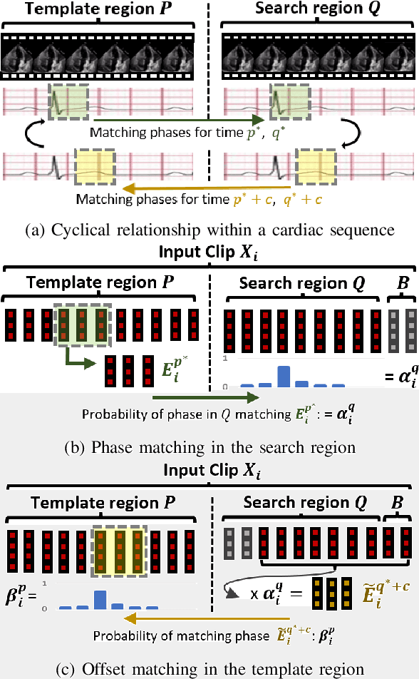 Figure 3 for Cyclical Self-Supervision for Semi-Supervised Ejection Fraction Prediction from Echocardiogram Videos