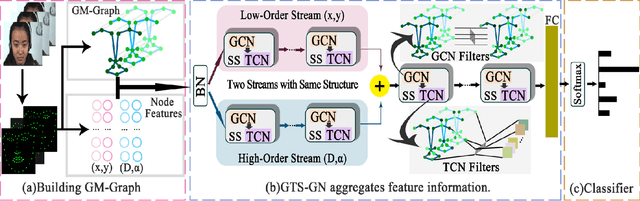 Figure 1 for Geometric Graph Representation with Learnable Graph Structure and Adaptive AU Constraint for Micro-Expression Recognition