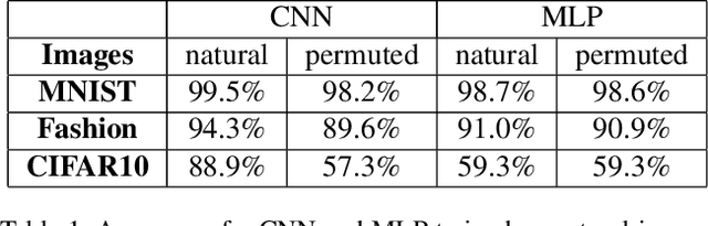 Figure 2 for Convolutional Neural Networks on Randomized Data