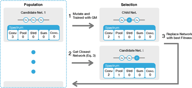Figure 3 for Evolving Architectures with Gradient Misalignment toward Low Adversarial Transferability