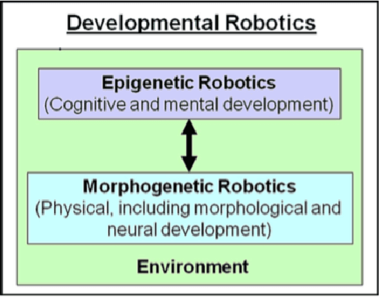 Figure 4 for Applications of Biological Cell Models in Robotics