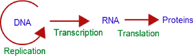 Figure 1 for Applications of Biological Cell Models in Robotics