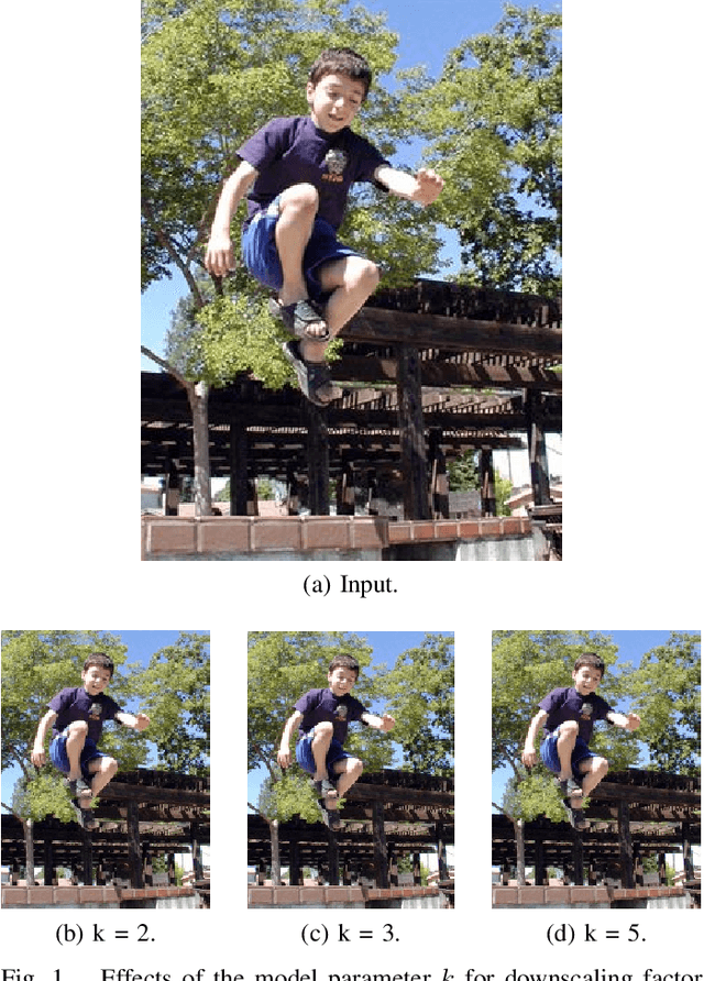 Figure 1 for Nonlocal Co-occurrence for Image Downscaling