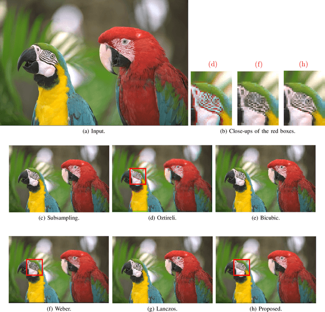 Figure 4 for Nonlocal Co-occurrence for Image Downscaling