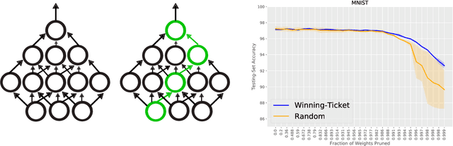 Figure 1 for On the Transferability of Winning Tickets in Non-Natural Image Datasets