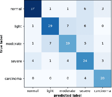 Figure 1 for Regression Constraint for an Explainable Cervical Cancer Classifier