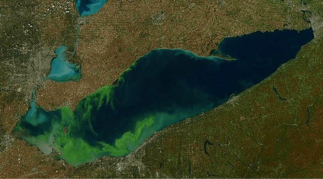 Figure 1 for Investigating the Automatic Classification of Algae Using Fusion of Spectral and Morphological Characteristics of Algae via Deep Residual Learning