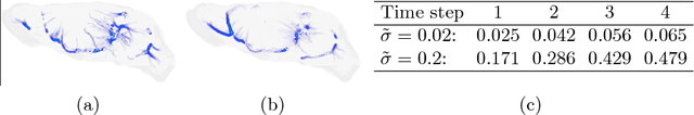 Figure 3 for GlymphVIS: Visualizing Glymphatic Transport Pathways Using Regularized Optimal Transport