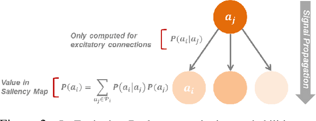 Figure 2 for Excitation Backprop for RNNs