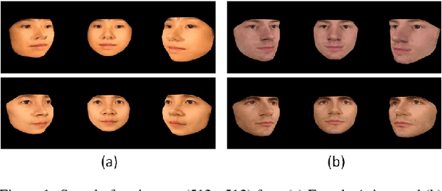 Figure 1 for Fast Face Image Synthesis with Minimal Training
