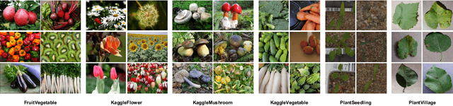 Figure 4 for Prompt Tuning with Soft Context Sharing for Vision-Language Models