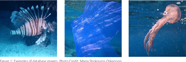 Figure 1 for Is the use of Deep Learning and Artificial Intelligence an appropriate means to locate debris in the ocean without harming aquatic wildlife?