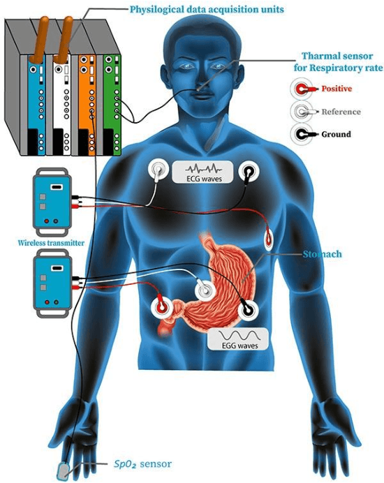 Figure 4 for Identification of the Resting Position Based on EGG, ECG, Respiration Rate and SpO2 Using Stacked Ensemble Learning