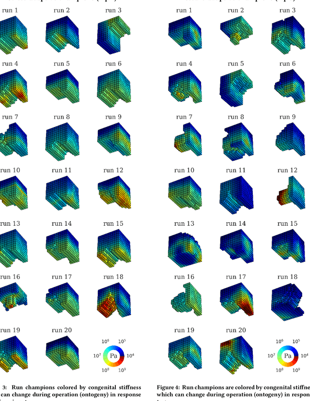 Figure 2 for Interoceptive robustness through environment-mediated morphological development