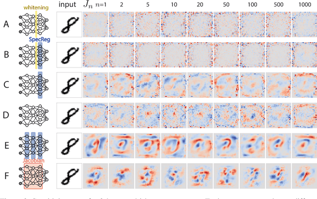 Figure 3 for On 1/n neural representation and robustness