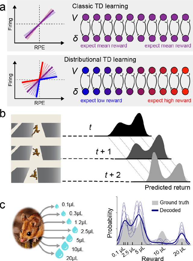 Figure 4 for Deep Reinforcement Learning and its Neuroscientific Implications
