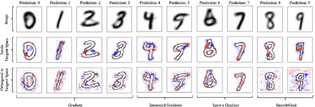 Figure 3 for The Manifold Hypothesis for Gradient-Based Explanations