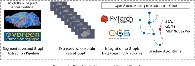 Figure 1 for Whole Brain Vessel Graphs: A Dataset and Benchmark for Graph Learning and Neuroscience