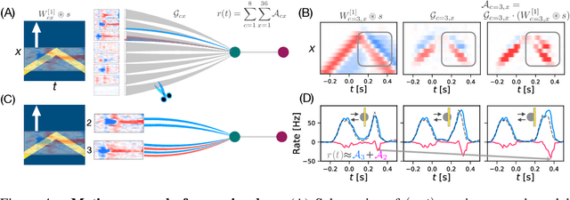 Figure 4 for From deep learning to mechanistic understanding in neuroscience: the structure of retinal prediction