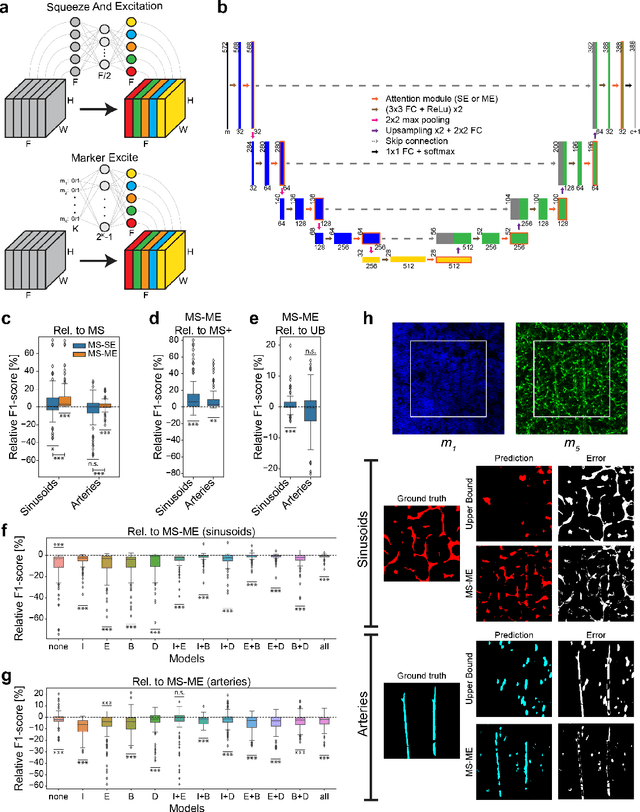 Figure 4 for Modality Attention and Sampling Enables Deep Learning with Heterogeneous Marker Combinations in Fluorescence Microscopy