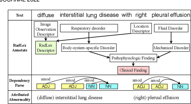 Figure 3 for Attributed Abnormality Graph Embedding for Clinically Accurate X-Ray Report Generation