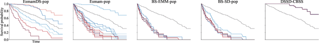 Figure 1 for EsmamDS: A more diverse exceptional survival model mining approach