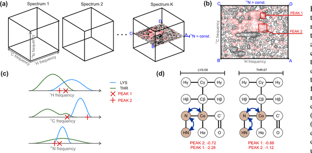 Figure 1 for Towards fully automated protein structure elucidation with NMR spectroscopy