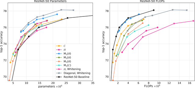 Figure 1 for AlgebraNets