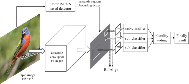 Figure 1 for Region based Ensemble Learning Network for Fine-grained Classification