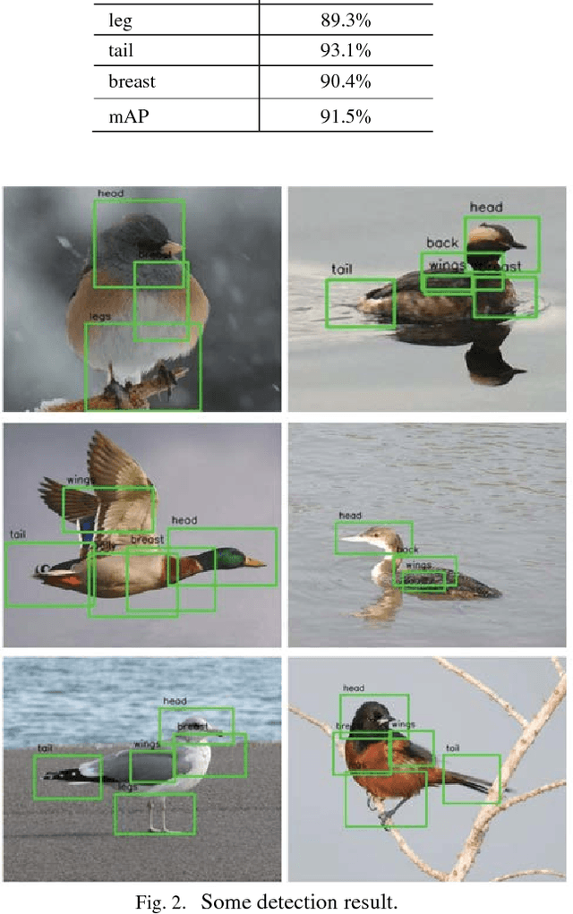 Figure 2 for Region based Ensemble Learning Network for Fine-grained Classification