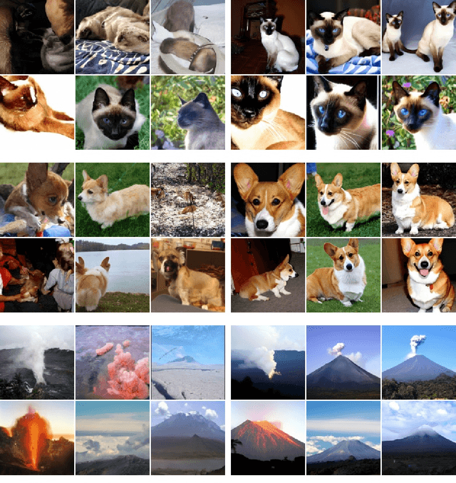 Figure 3 for Classifier-Free Diffusion Guidance