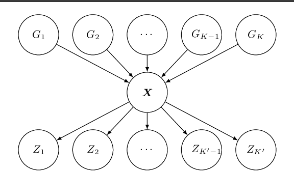 Figure 3 for Interventional Robustness of Deep Latent Variable Models