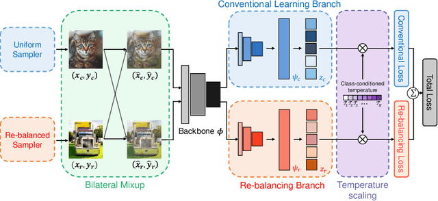 Figure 3 for DBN-Mix: Training Dual Branch Network Using Bilateral Mixup Augmentation for Long-Tailed Visual Recognition