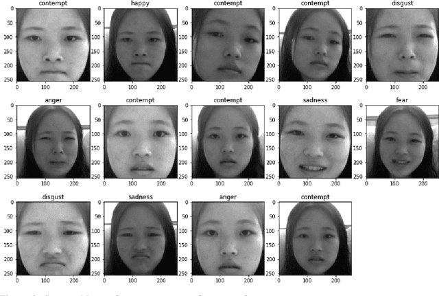 Figure 3 for Real-Time Facial Expression Emoji Masking with Convolutional Neural Networks and Homography