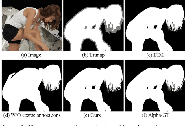 Figure 1 for Boosting Semantic Human Matting with Coarse Annotations