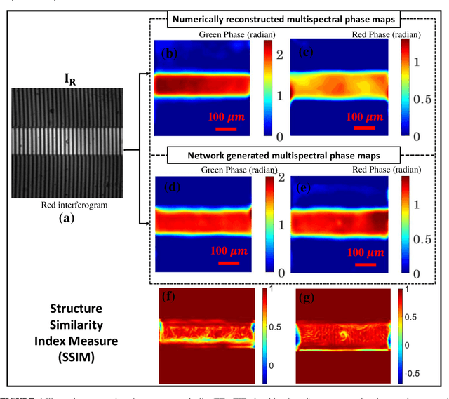 Figure 4 for Single-shot multispectral quantitative phase imaging using deep neural network