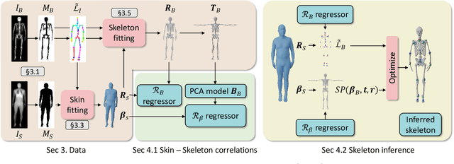 Figure 3 for OSSO: Obtaining Skeletal Shape from Outside