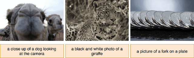 Figure 3 for A Baseline for Detecting Out-of-Distribution Examples in Image Captioning