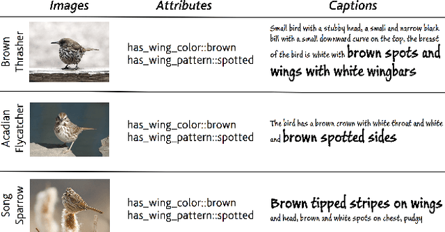 Figure 1 for Semantically Grounded Visual Embeddings for Zero-Shot Learning