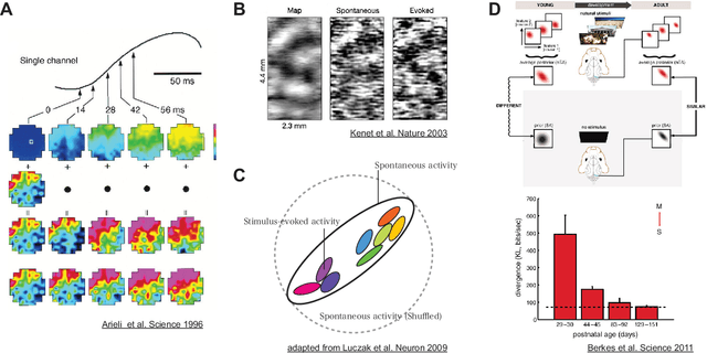 Figure 2 for The principles of adaptation in organisms and machines II: Thermodynamics of the Bayesian brain