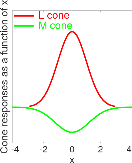 Figure 3 for Color-opponent mechanisms for local hue encoding in a hierarchical framework