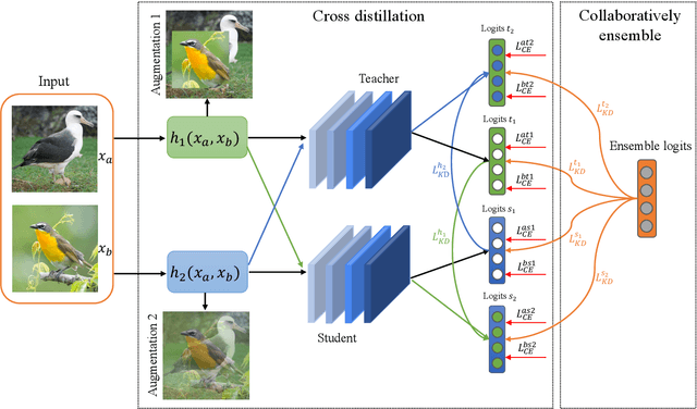 Figure 1 for CEKD:Cross Ensemble Knowledge Distillation for Augmented Fine-grained Data