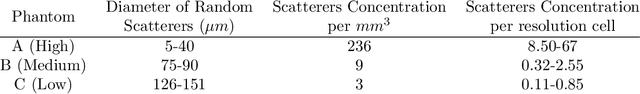 Figure 1 for Ultrasound Scatterer Density Classification Using Convolutional Neural Networks by Exploiting Patch Statistics