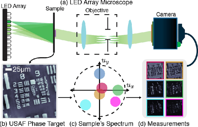 Figure 2 for Data-Driven Design for Fourier Ptychographic Microscopy