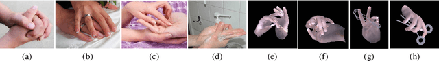 Figure 1 for Parallel mesh reconstruction streams for pose estimation of interacting hands